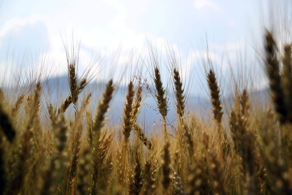 Russia Hits Huge Grain Silo, Increases Targets in Ukraine