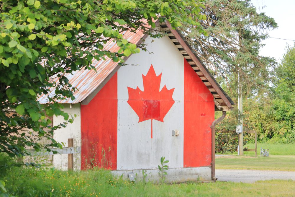 After the Dutch Farmers, Canada’s Are Targeted Next