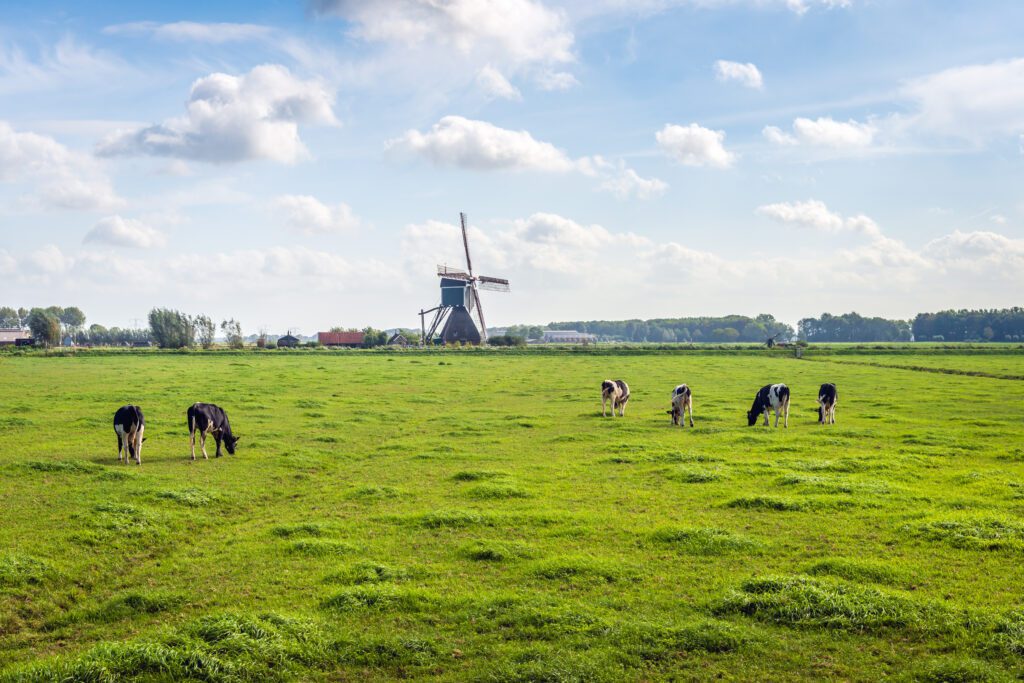 Netherlands: Globalist Government to Close 3,000 Farms to Comply with EU Rules