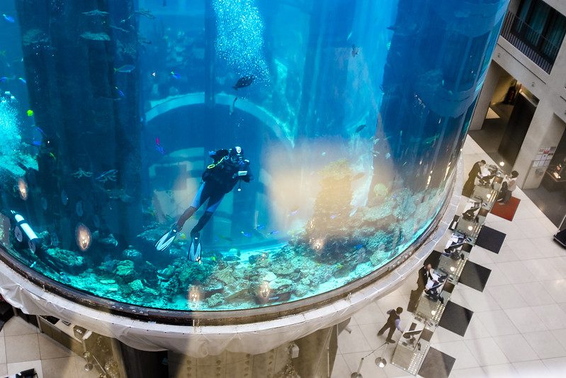 Berlin: World’s Largest Cylindrical Aquarium Exploded