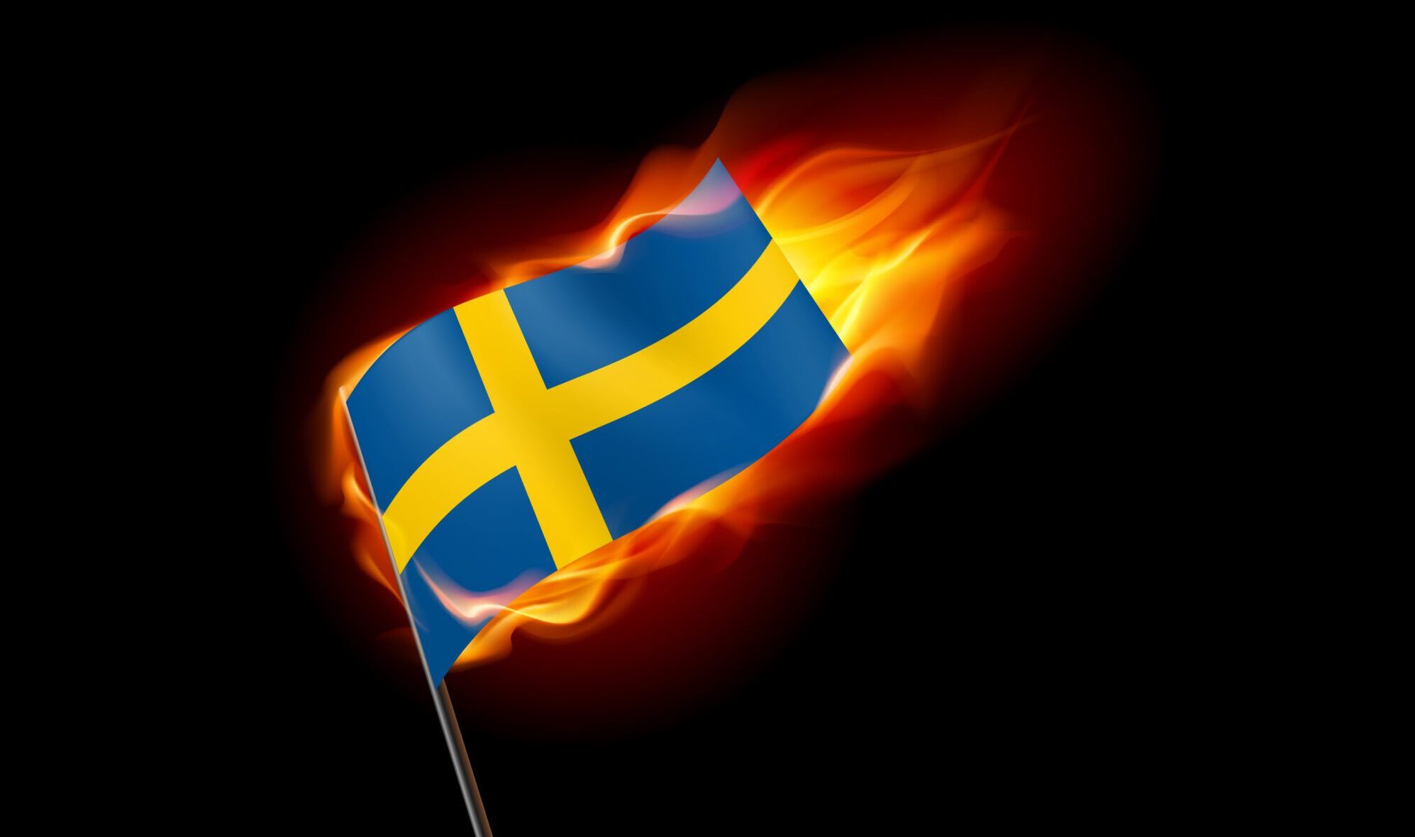 Turkish Protesters Burn Swedish Flag