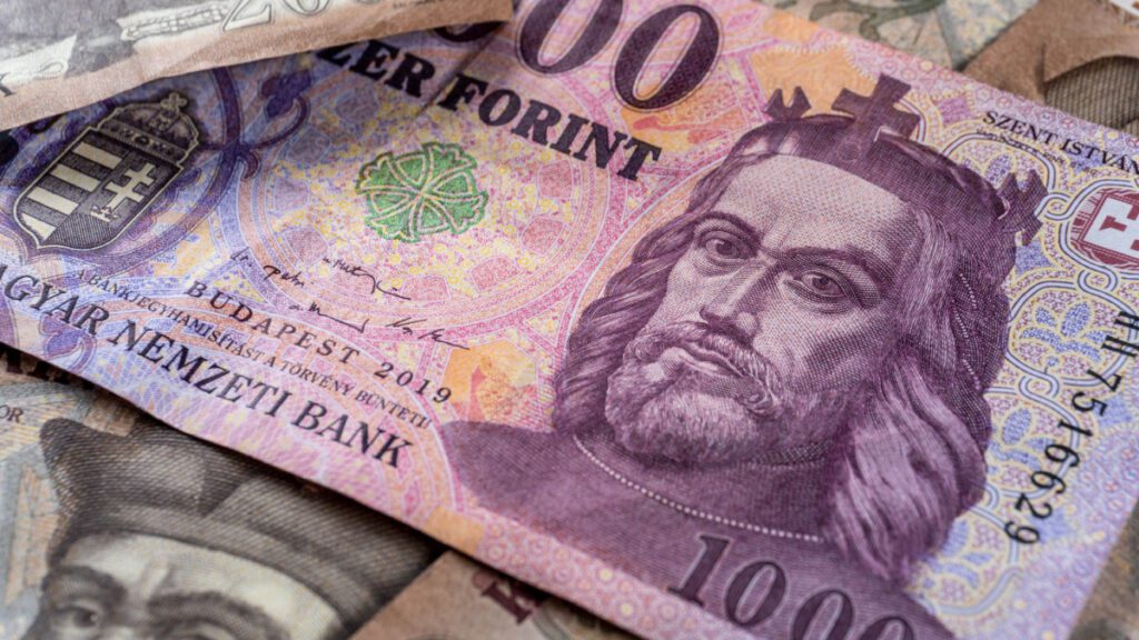 Reversing Hungary’s High Inflation