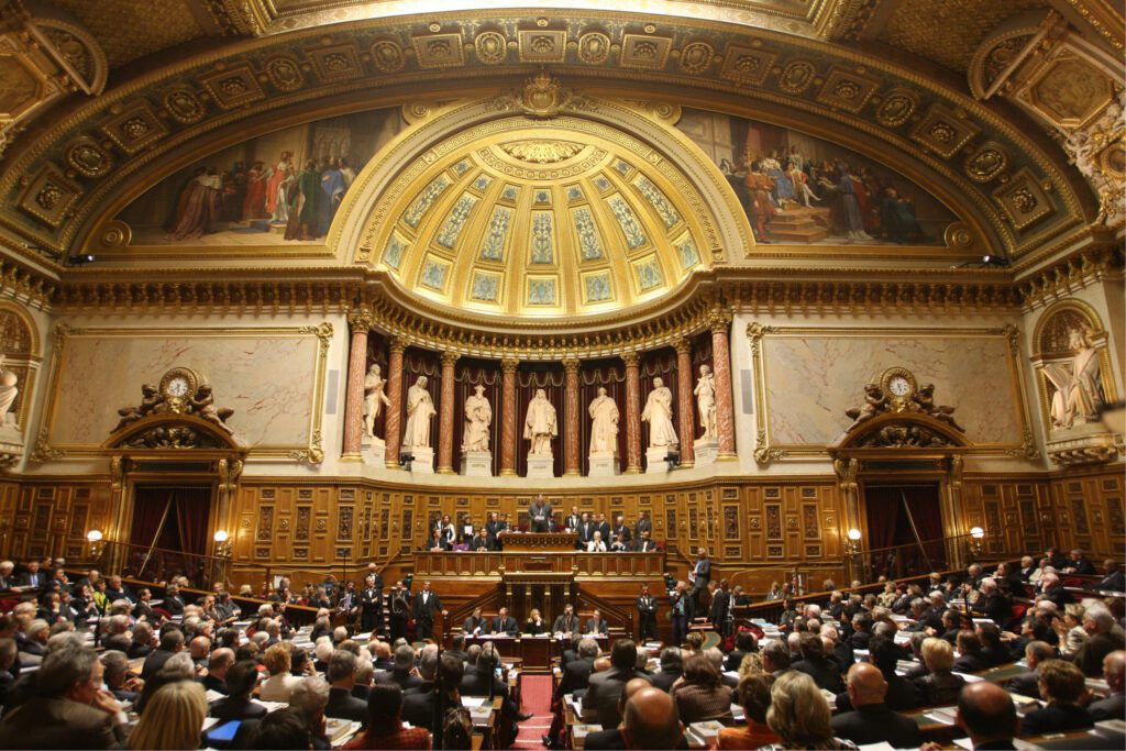 French Senate Votes To Enshrine ‘Freedom’ To Abort in Constitution