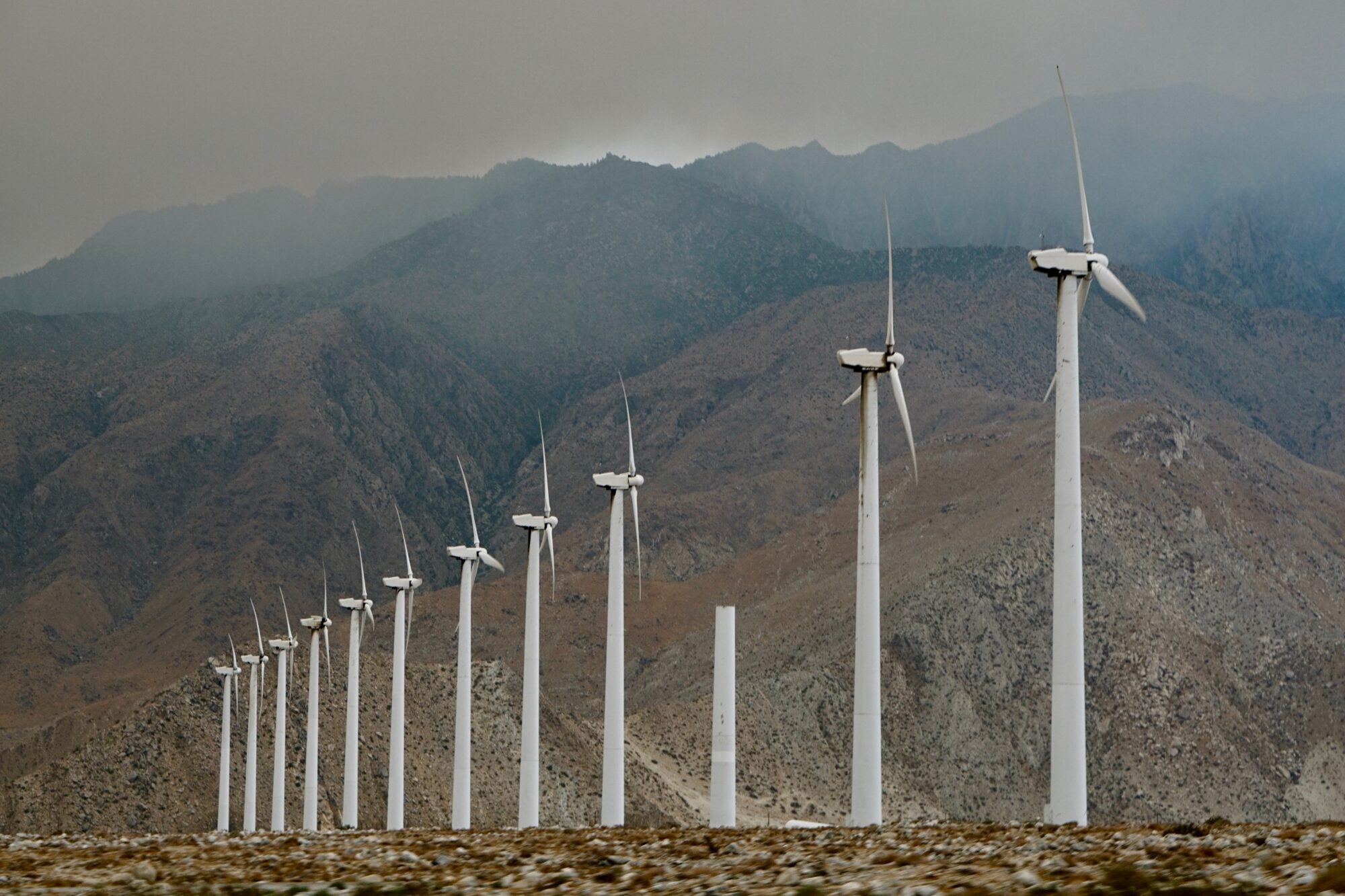 Ecologistas de base Gran ambientalismo ━ conservadores europeos