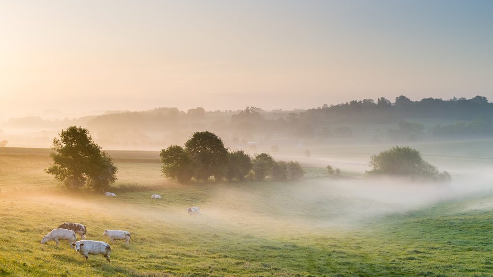 Belgium Split Over EU Environmental Plan