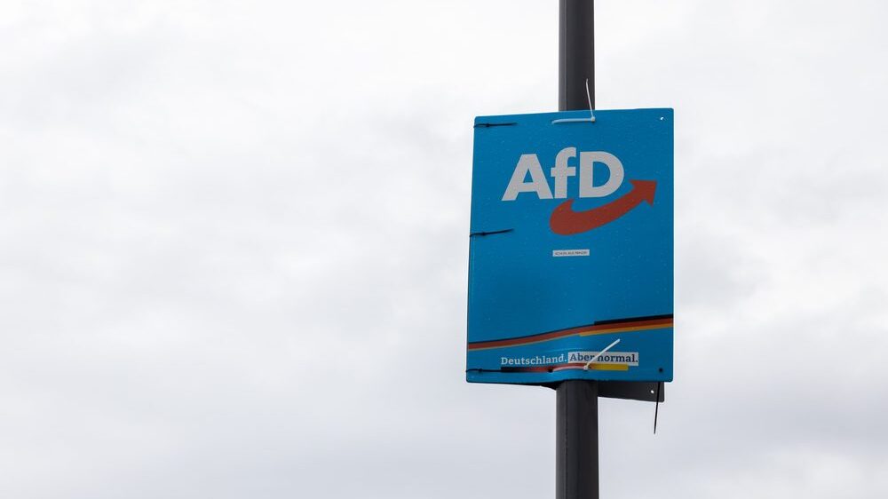 Leftist Think Tank Calls for Banning AfD