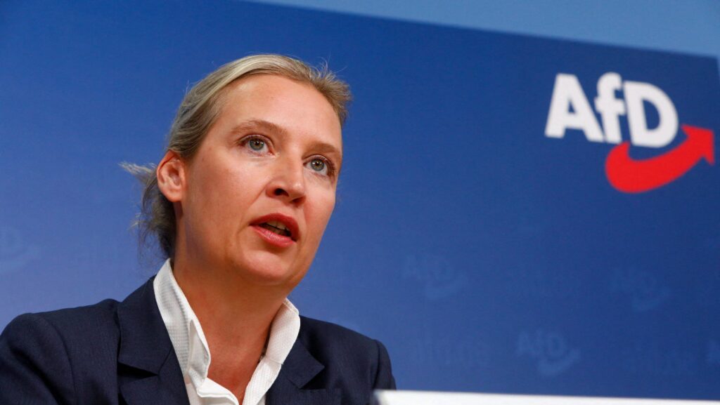 Le Pen and AfD Meet To Clarify Positions on Remigration