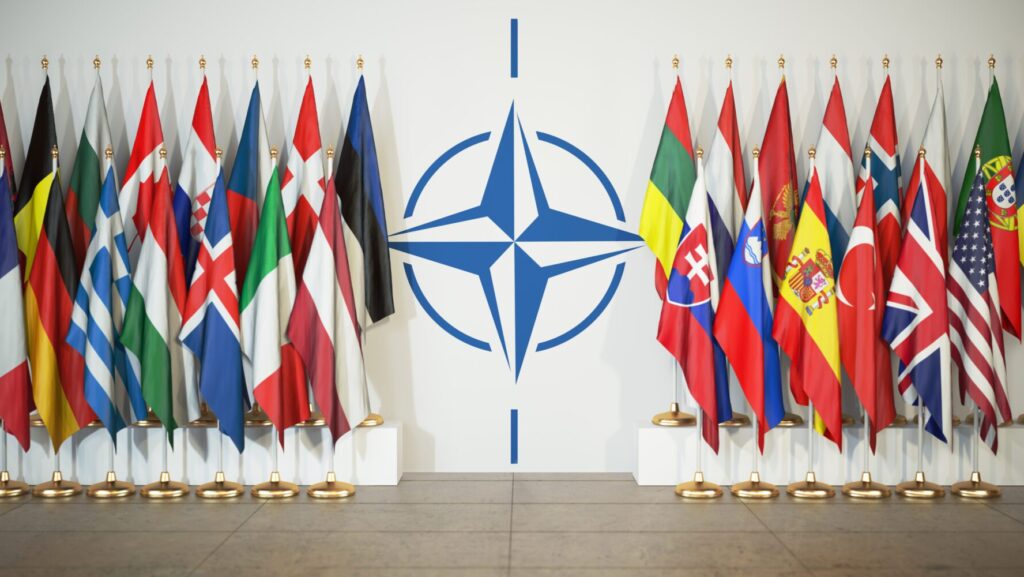 Euros & Dollars: NATO and European Defense Funding