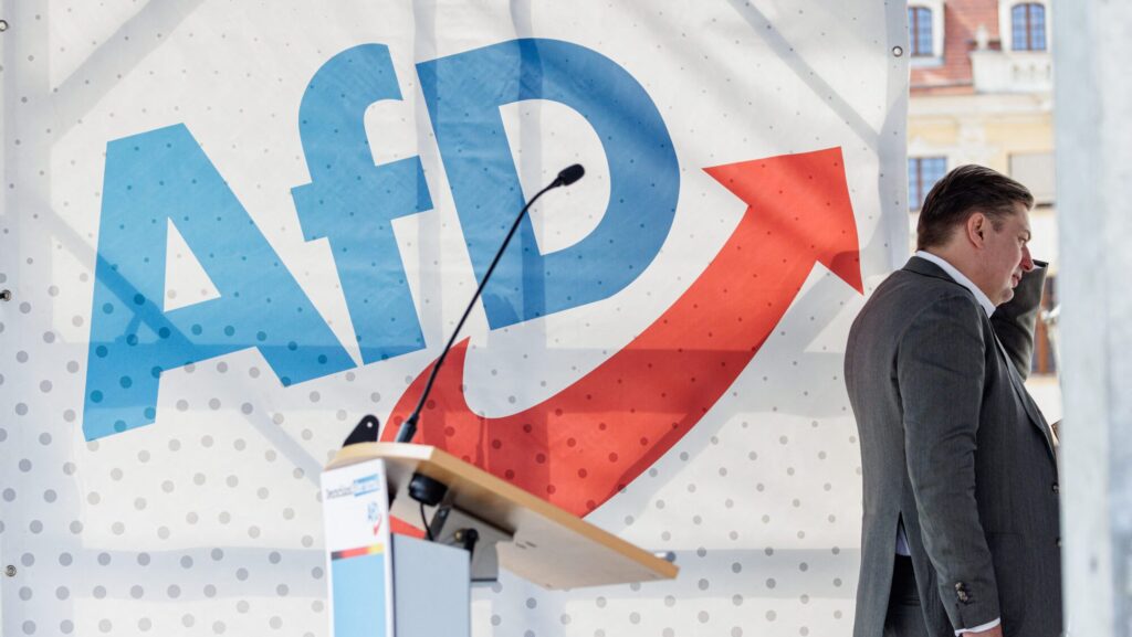 Controversial Lead Candidate Kicked Out of AfD’s Party Leadership