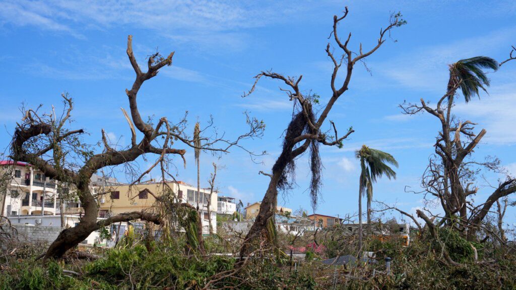 French Island of Mayotte Devastated by Cyclone Chido