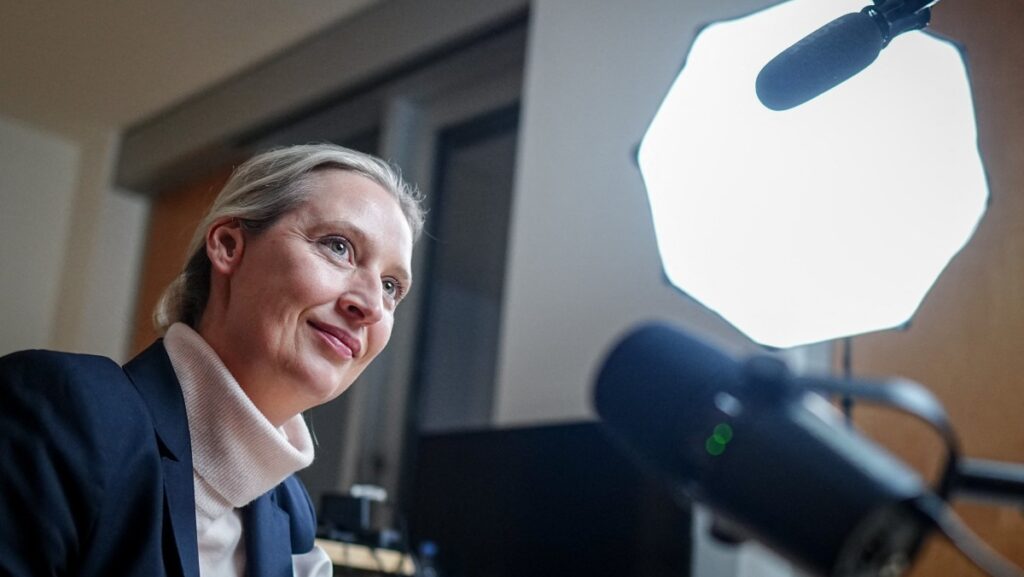 150 EU ‘Experts’ Monitored Friendly Musk-Weidel Chat