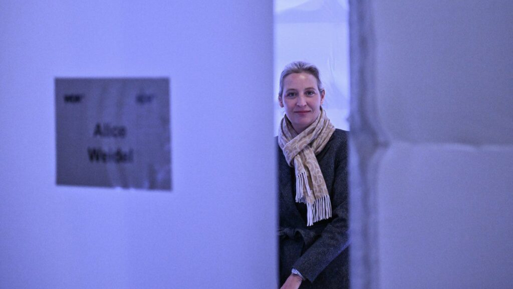 Are Patriots for Europe Opening the Door for German AfD?