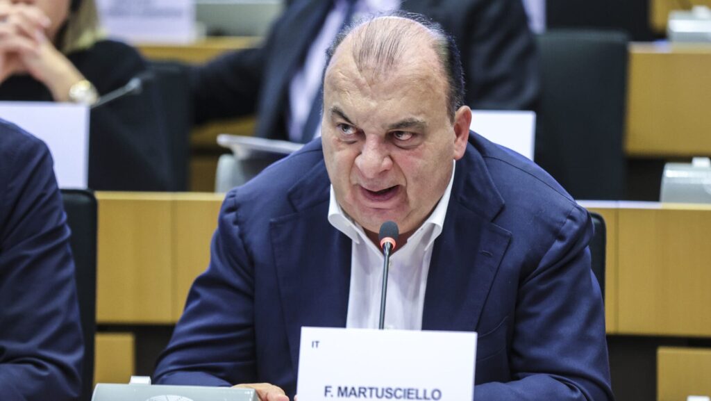 MEP Fulvio Martusciello (EPP)