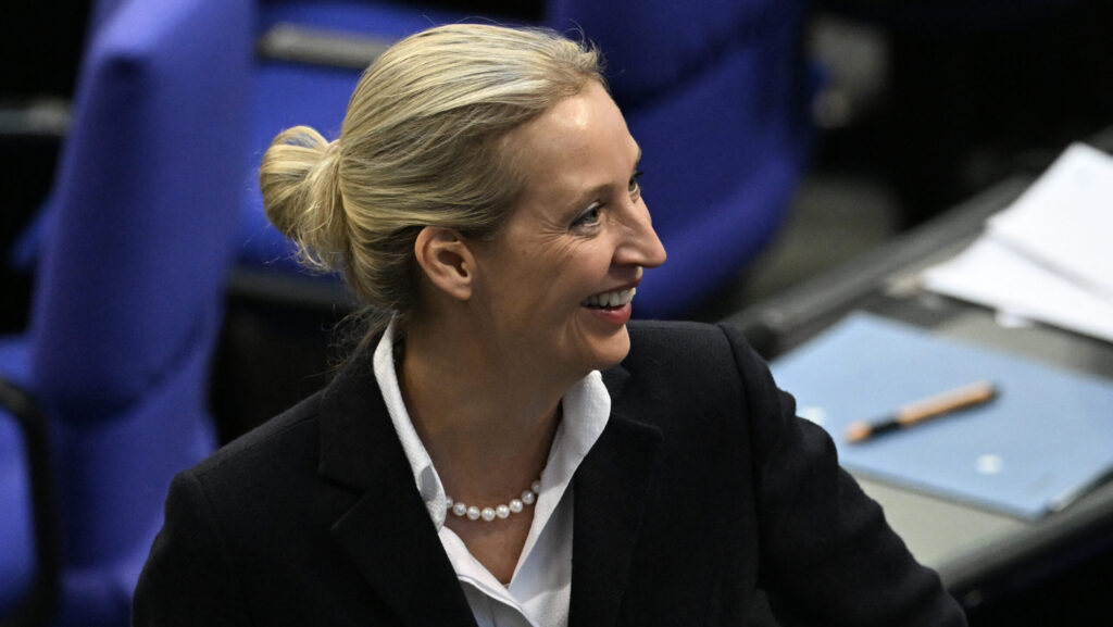 AfD co-leader Alice Weidel