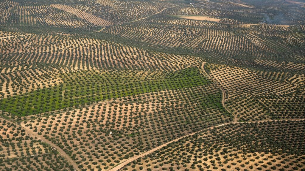 Andalusian Leader Praises Farmers—While Bulldozing Their Fields