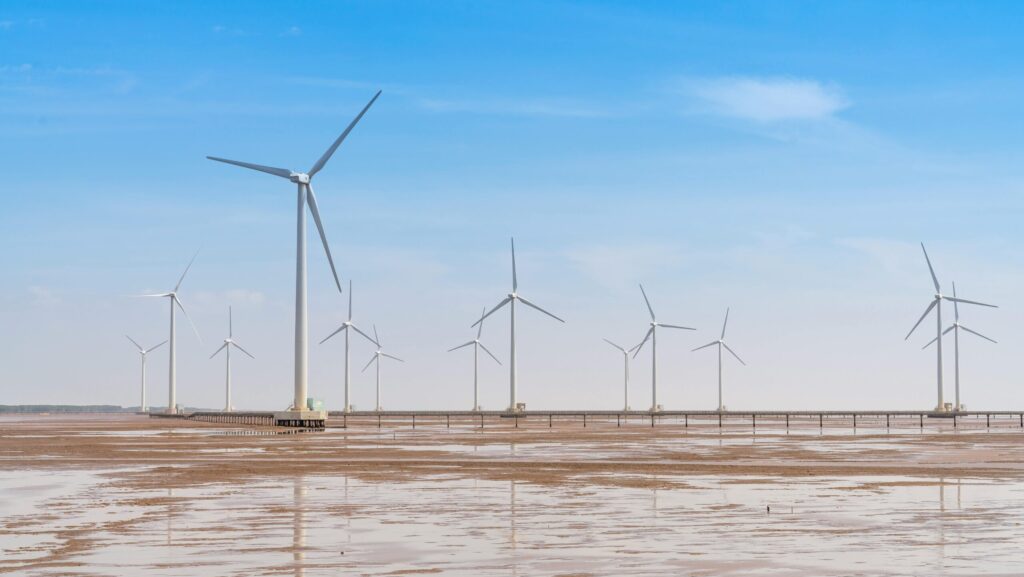 French Parliament Backs Halt on Wind and Solar Projects—For Now