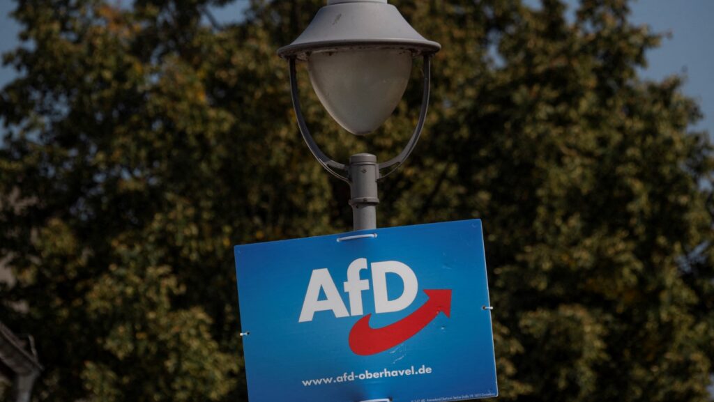 AfD sign on lightpost