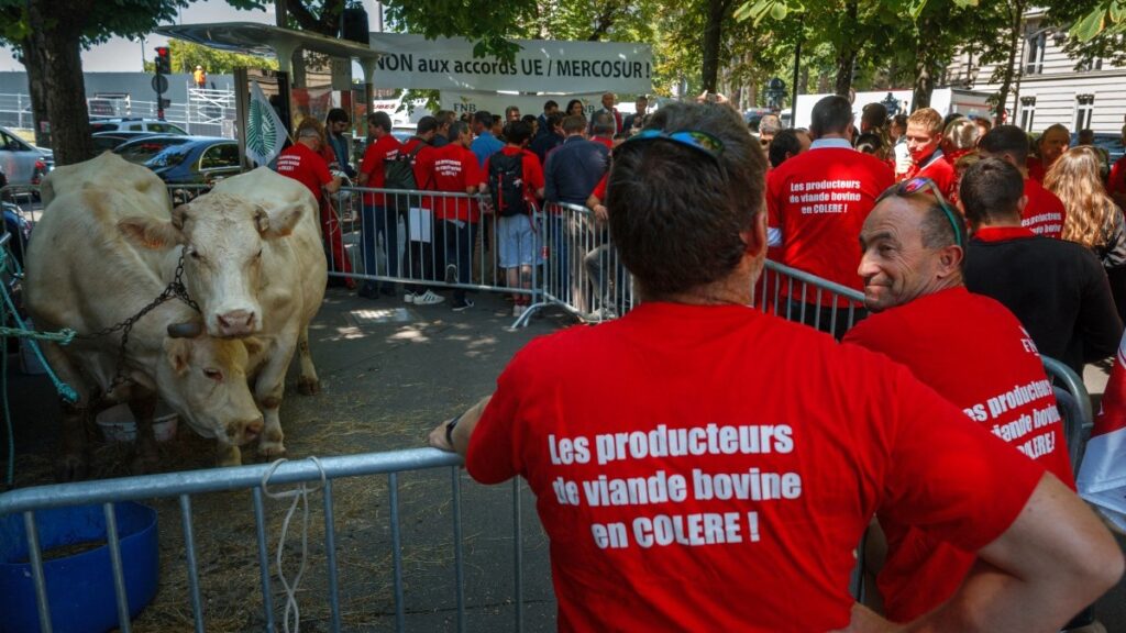 Farmers and members of the National Beef Federation (Federation Nationale Bovine) demonstrate near the Brazilian Embassy in Paris on July 9, 2025 against the EU-Mercosur agreement.