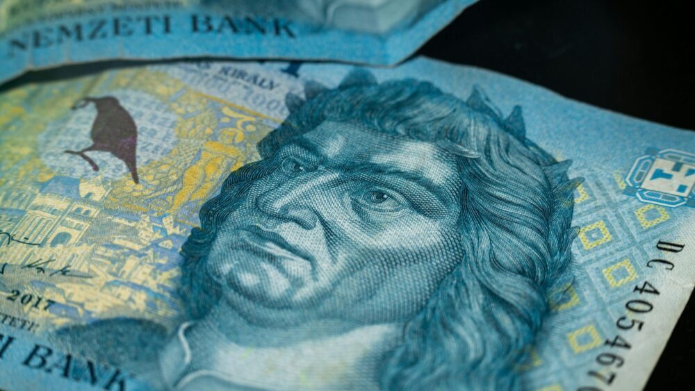 A Hungarian forint banknote