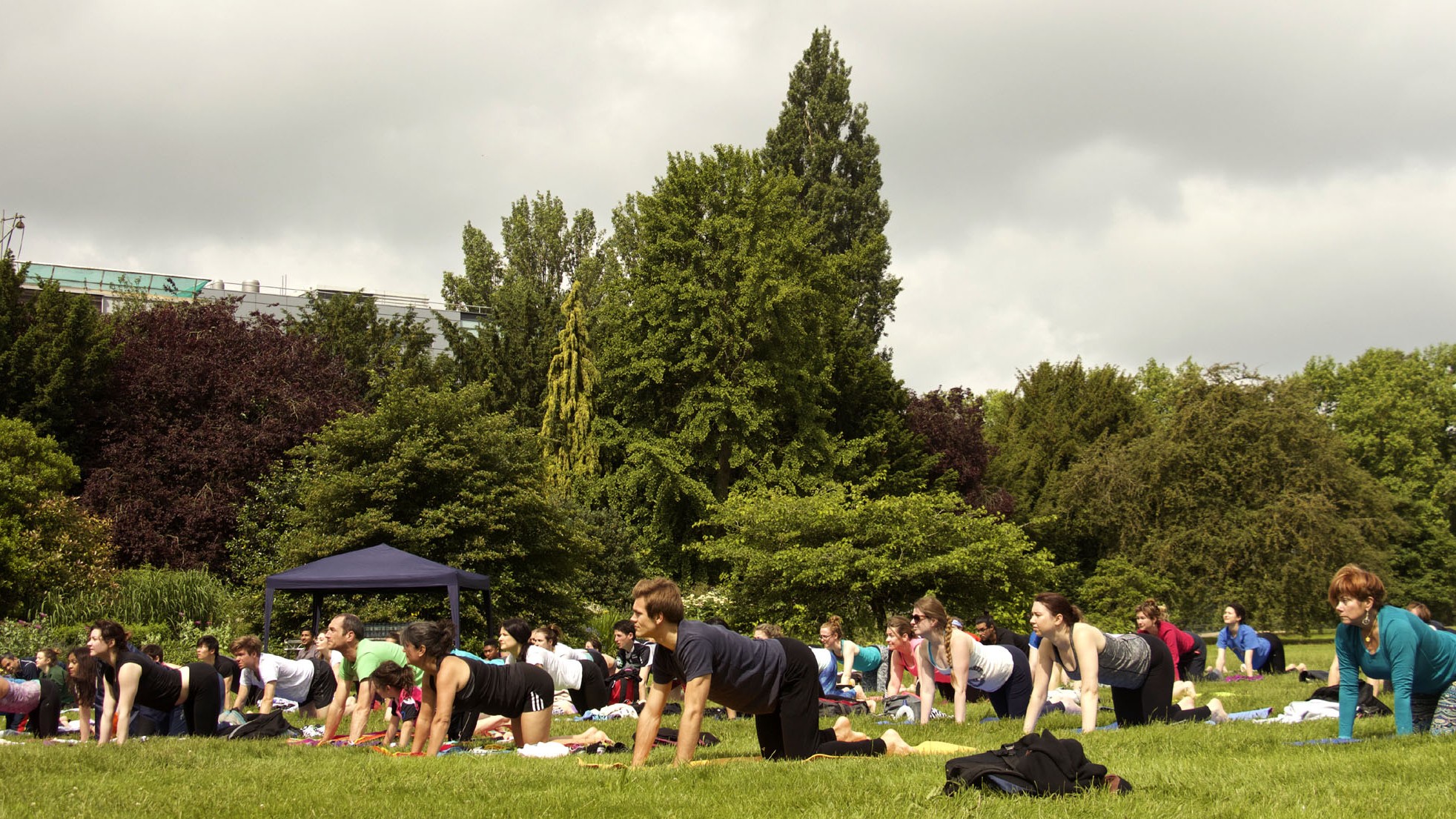 Yoga camp in Oxford, UK in 2016