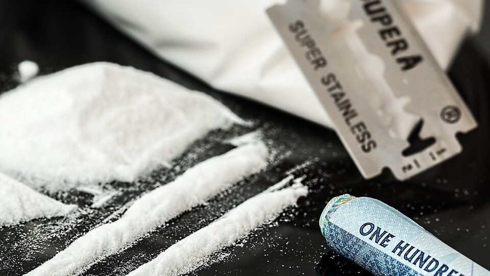 Polish Police Smash $275M Europe-Wide Drug Ring