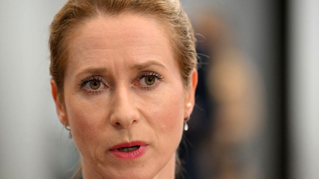 EU High Representative for Foreign Affairs Kaja Kallas