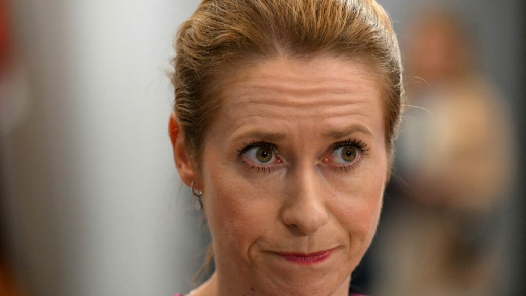 Kallas: Time Running Out To Avert Iran Sanctions