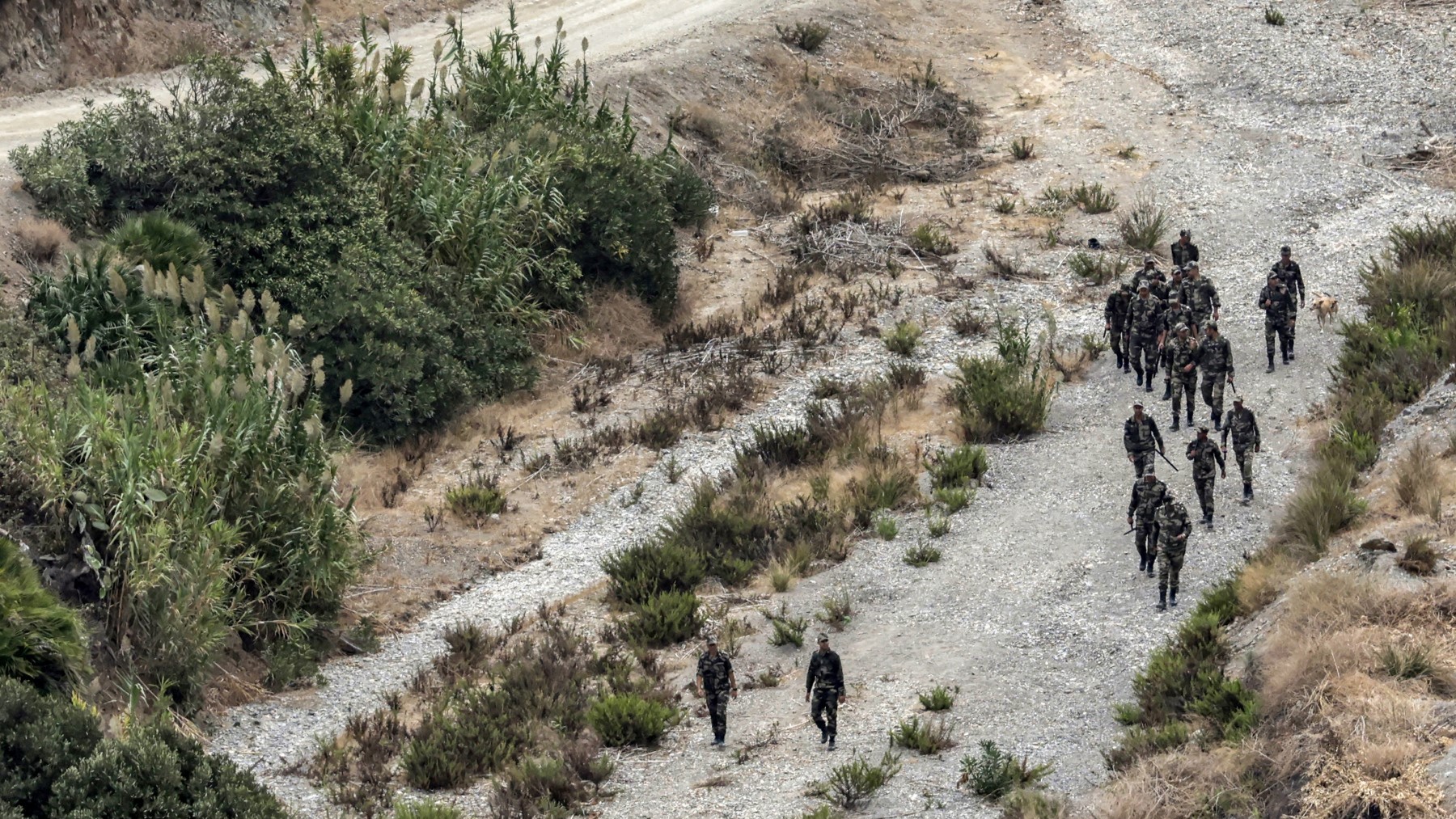 Members of Morocco's Auxiliary Forces sweep an area along the land border with Spain’s African enclave of Ceuta near Fnideq in northern Morocco on September 30, 2024.