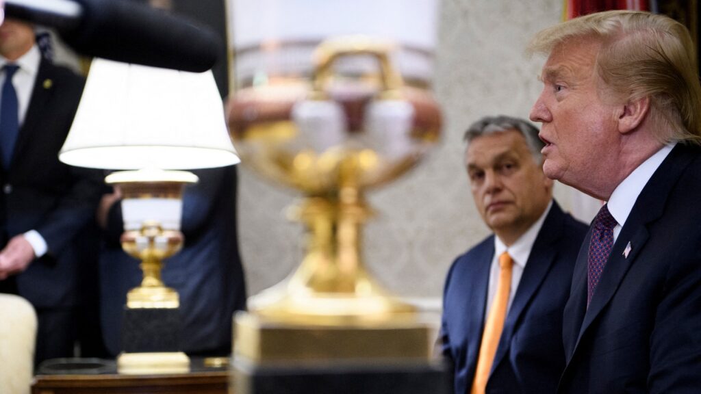 Trump Reacts to Orbán Remarks Prior to Online Meeting with EU Leaders