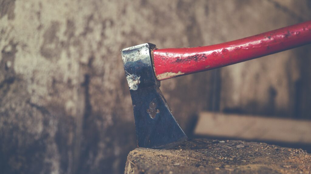 Foreign ‘Axe Attacker’ Should Not Have Been in the Country