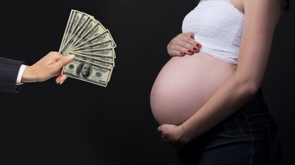 Surrogacy illustration (Pixabay)