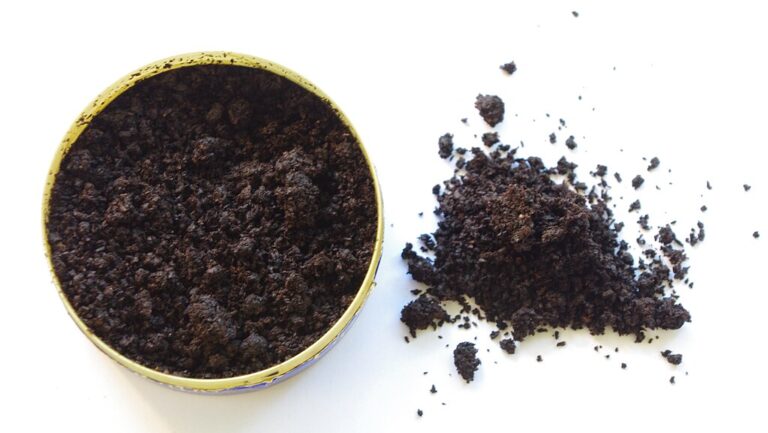 Brussels Plans to Tax Banned Snus Products to Boost EU Budget