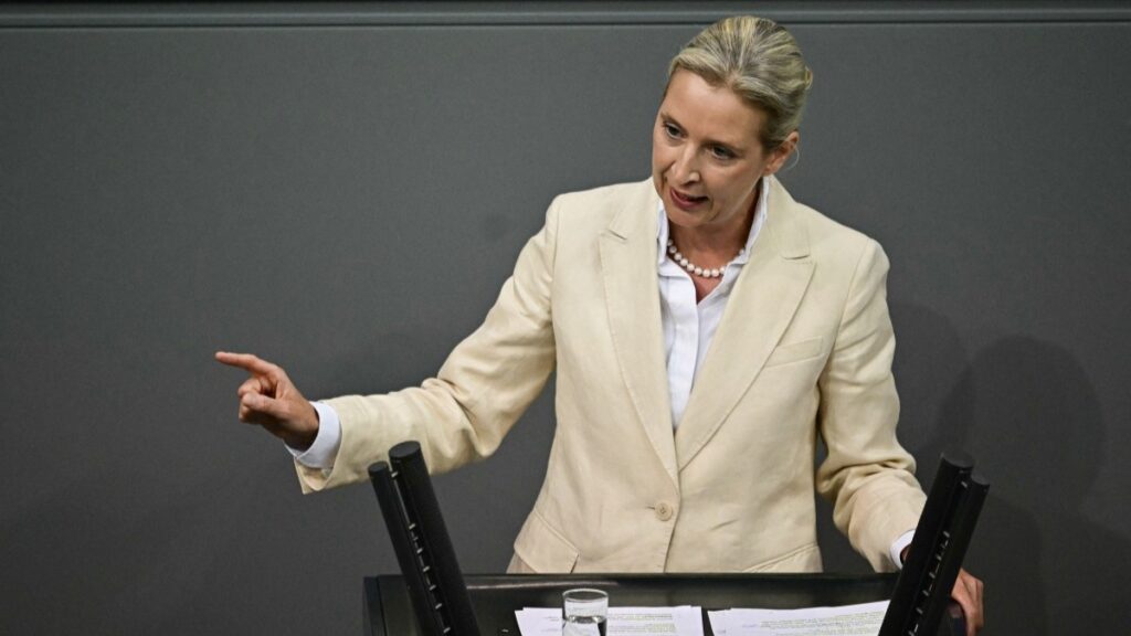 AfD Polling Ahead of CDU/CSU on Migration Policy