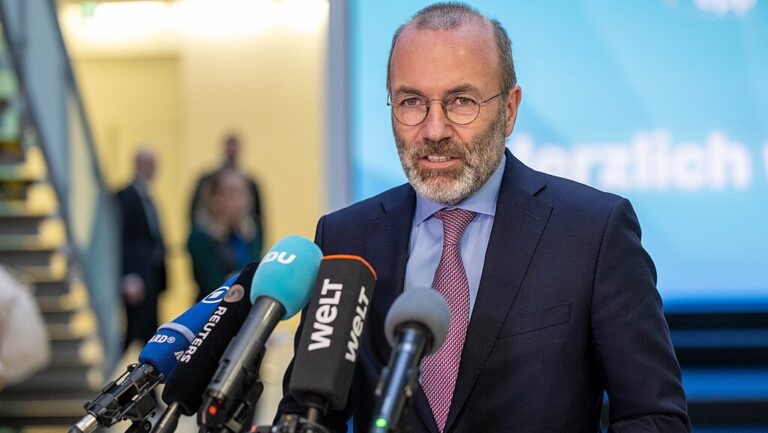 Fault Line in the EPP: French MEPs Shake Weber’s Authority