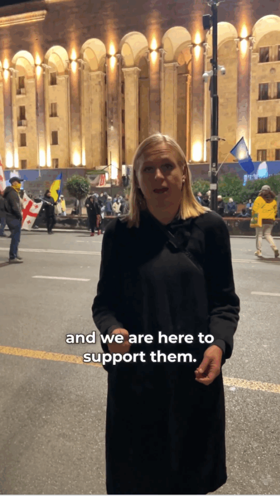 Finnish Foreign Minister Openly Backs Georgian Anti-Government Protests