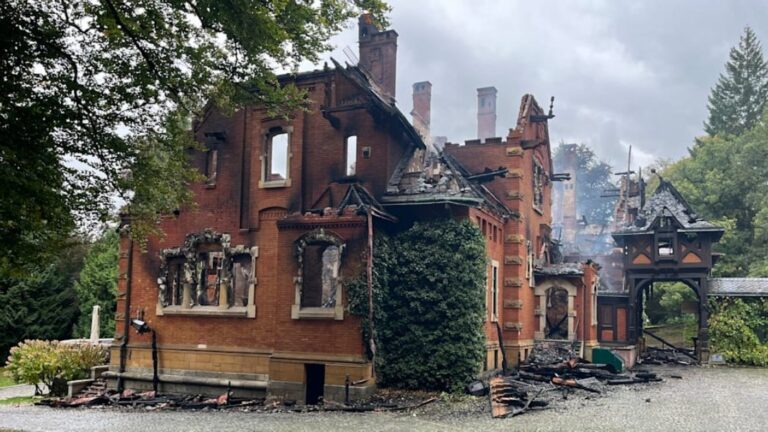 ‘Warning to the Princess’: Antifa Claims Responsibility for Bavaria Arson