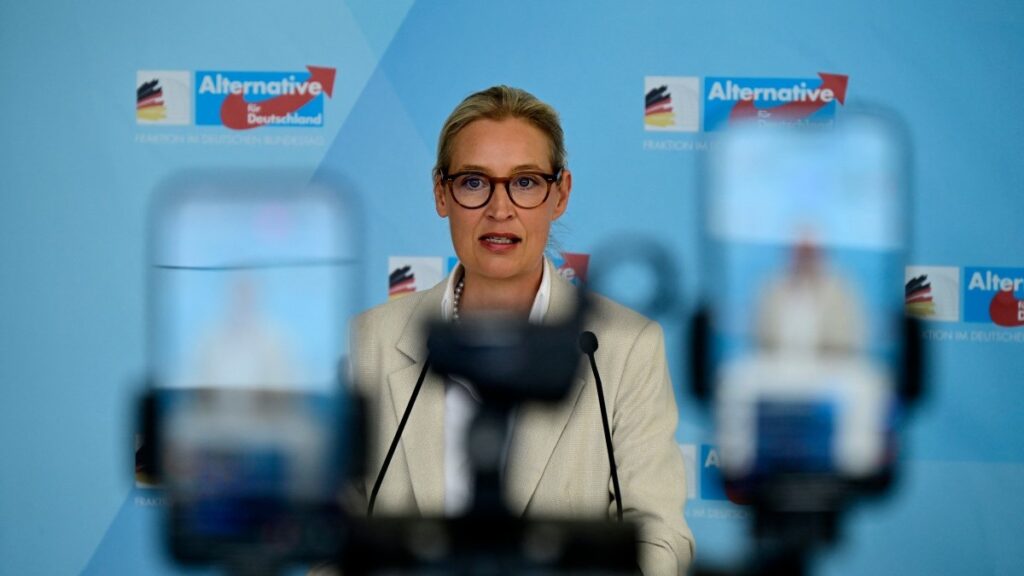 The More Popular the AfD, the More of a Target It Becomes