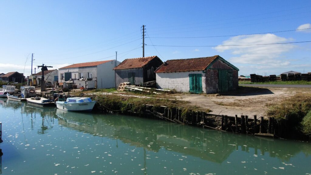 Île d’Oléron Attack: Suspect Claims Having Received Mission from Allah