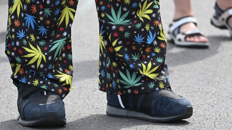 Germany Sees Surge in Psychosis After Cannabis Legalisation