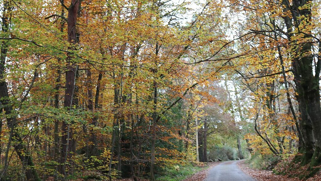 From Sustainability to Permanence: A Conservative Ecology of Endurance