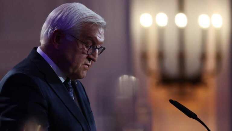 Even Non-AfD Officials Agree Steinmeier’s Allusion to a Ban Is Ridiculous