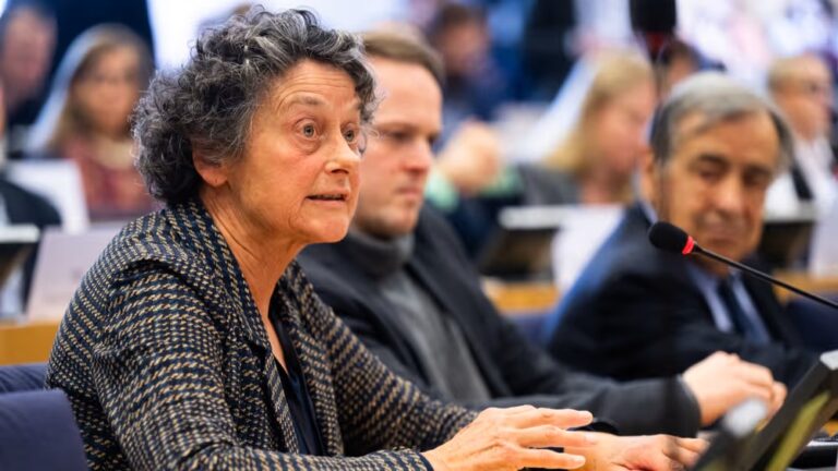 Dutch Green MEP Tineke Strik at the European Parliament in Brussels on November 5, 2025