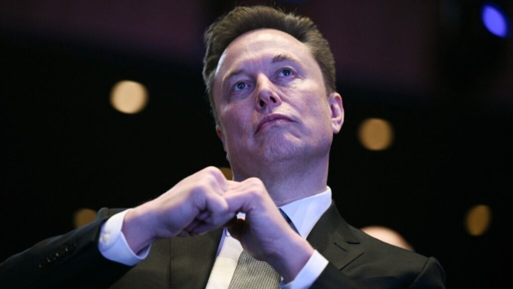 Elon Musk Declares Political War on the EU
