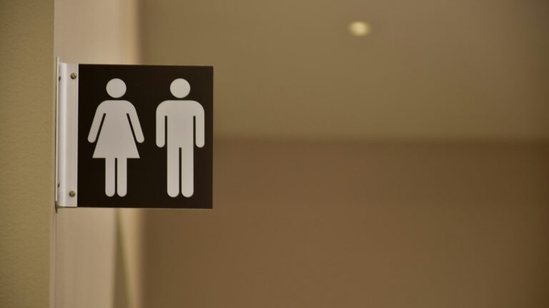 Biological sex illustration (Unsplash)