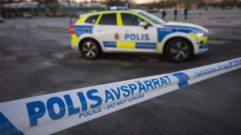 Swedish Government Urged to Limit Migration To Stabilise ‘Vulnerable Areas’