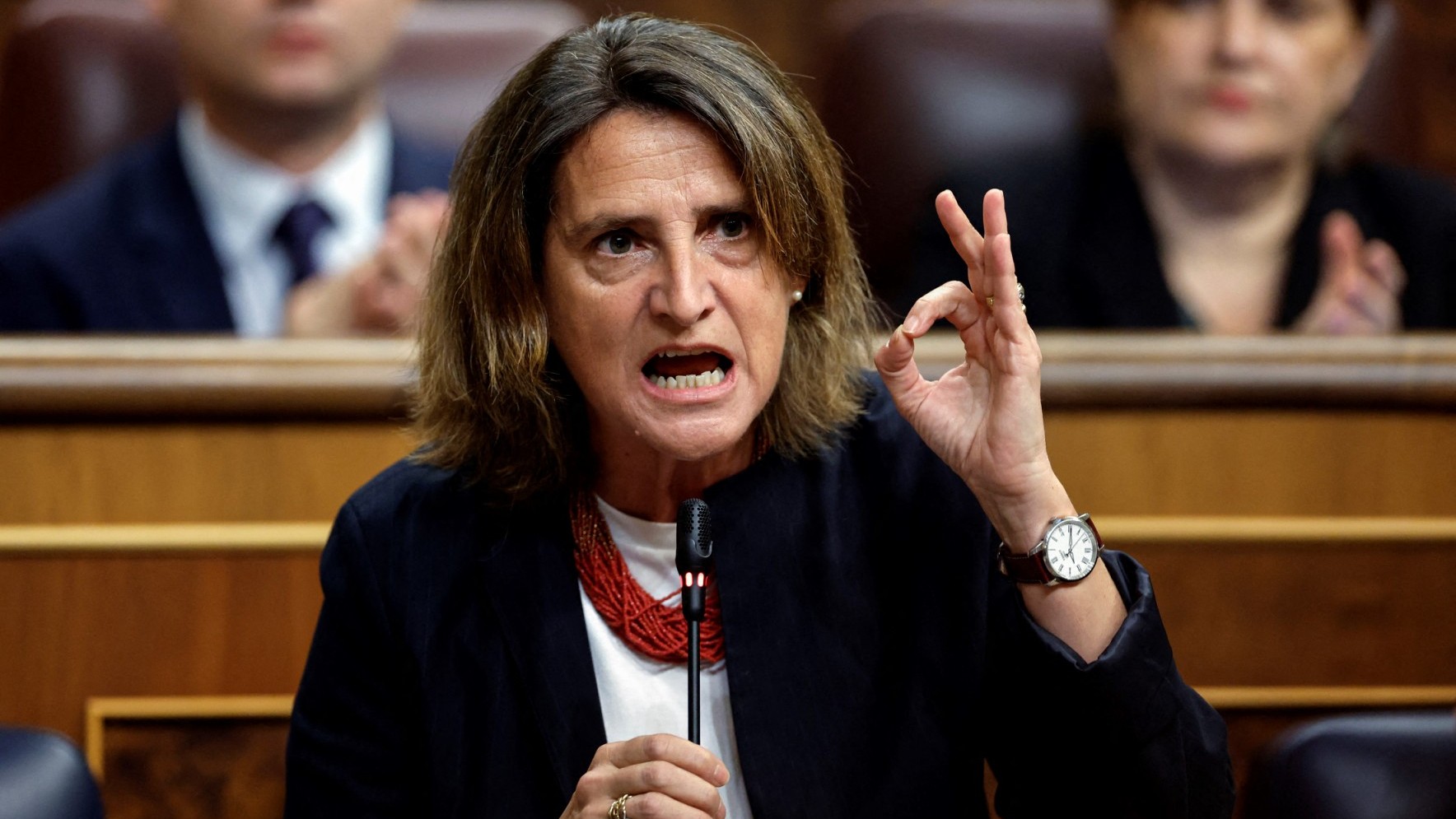 Then Spain's Deputy Prime Minister Teresa Ribera talks during a plenary session at the Congress of Deputies in Madrid on November 20, 2024.