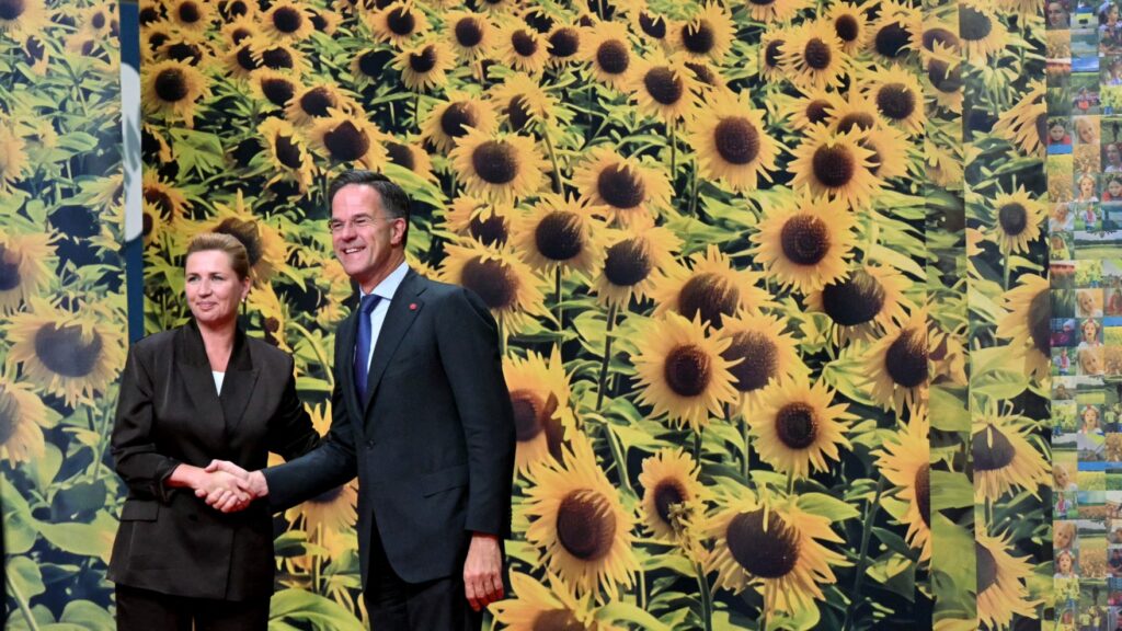 NATO Chief and Danish PM Agree on Strengthening Arctic Security