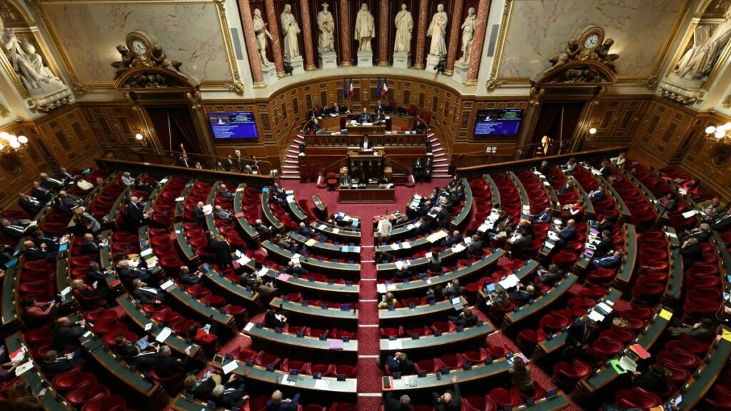 Pro-Life Win: French Senators Rewrite Euthanasia Bill