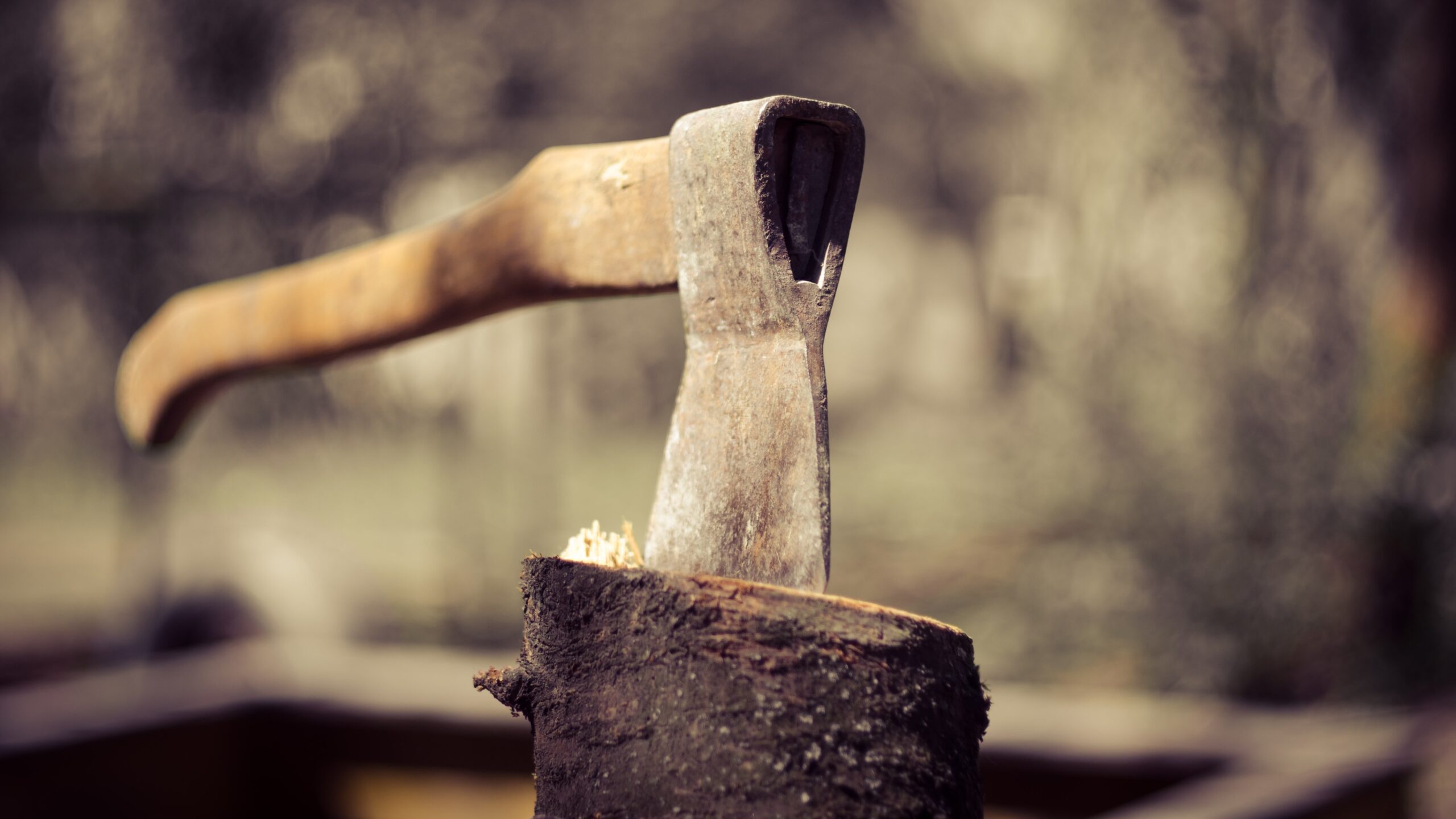 Old axe in the stump (illustration axe murder wikimedia Commons)