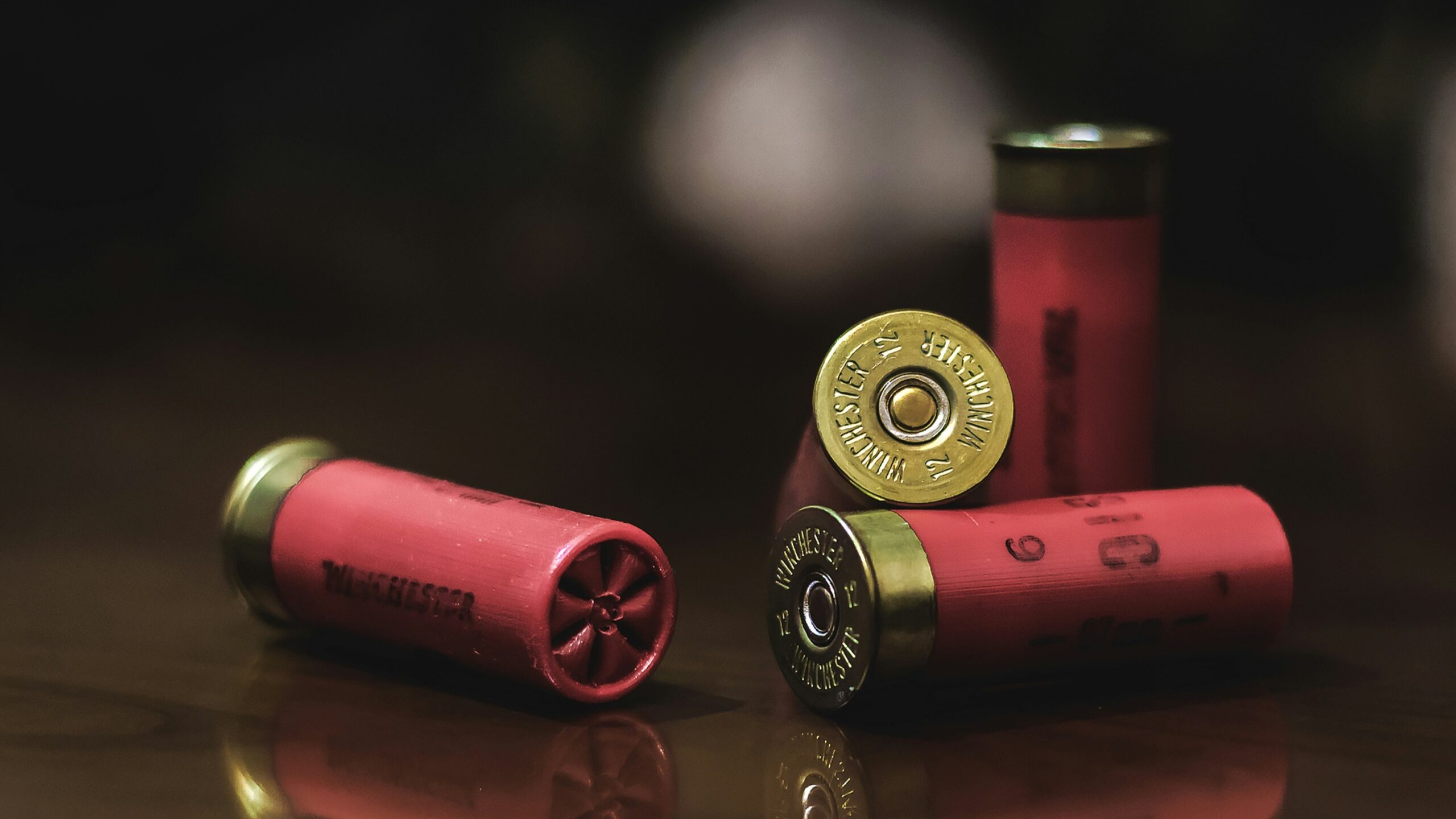 Shotgun shells -- illustration of illegal firearms (Unsplash)